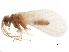  ( - BIOUG34592-H04)  @11 [ ] CreativeCommons - Attribution (2017) CBG Photography Group Centre for Biodiversity Genomics