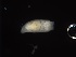  ( - 2015_444)  @11 [ ] CreativeCommons - Attribution Share-Alike (2019) Unspecified University of Oregon, Oregon Institute of Marine Biology