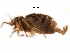  ( - BIOUG27991-B12)  @11 [ ] CreativeCommons - Attribution (2016) CBG Photography Group Centre for Biodiversity Genomics
