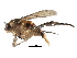  ( - BIOUG27991-F02)  @13 [ ] CreativeCommons - Attribution (2016) CBG Photography Group Centre for Biodiversity Genomics