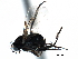  ( - BIOUG28751-B02)  @11 [ ] CreativeCommons - Attribution (2016) CBG Photography Group Centre for Biodiversity Genomics