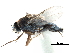  ( - BIOUG28751-D08)  @11 [ ] CreativeCommons - Attribution (2016) CBG Photography Group Centre for Biodiversity Genomics