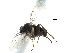  ( - BIOUG28751-E02)  @11 [ ] CreativeCommons - Attribution (2016) CBG Photography Group Centre for Biodiversity Genomics