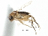 ( - BIOUG28751-F05)  @11 [ ] CreativeCommons - Attribution (2016) CBG Photography Group Centre for Biodiversity Genomics