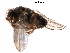  ( - BIOUG28752-B09)  @11 [ ] CreativeCommons - Attribution (2016) CBG Photography Group Centre for Biodiversity Genomics