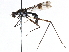  (Ptilosphen gentilis - BIOUG31901-D09)  @11 [ ] CreativeCommons - Attribution (2017) CBG Photography Group Centre for Biodiversity Genomics