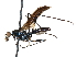  (Mesoconius reinai - BIOUG31901-E12)  @11 [ ] CreativeCommons - Attribution (2017) CBG Photography Group Centre for Biodiversity Genomics