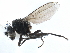  ( - CCDB-33291-D10)  @11 [ ] CreativeCommons - Attribution (2019) CBG Photography Group Centre for Biodiversity Genomics
