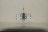  ( - BJMTG2021038)  @11 [ ] Unspecified (default): All Rights Reserved  Unspecified Unspecified