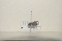  ( - BJMTG2021040)  @11 [ ] Unspecified (default): All Rights Reserved  Unspecified Unspecified