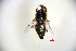  ( - ZI068)  @11 [ ] by-nc (2019) Unspecified China Agricultural University