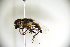  ( - ZI069)  @11 [ ] by-nc (2019) Unspecified China Agricultural University