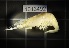  (Macrobrachium nipponense - 1013492)  @11 [ ] Levan Mumladze (2024) Levan Mumladze Ilia State University, Institute of Zoology