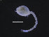  ( - 38478_47)  @11 [ ] CreativeCommons - Attribution Non-Commercial Share-Alike (2019) University of Bergen Natural History Collections