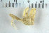  ( - ZMBN_108022)  @11 [ ] CreativeCommons - Attribution Non-Commercial Share-Alike (2017) University of Bergen Natural History Collections