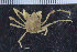  ( - ZMBN_108024)  @11 [ ] CreativeCommons - Attribution Non-Commercial Share-Alike (2017) University of Bergen Natural History Collections