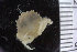  ( - ZMBN_108054)  @11 [ ] CreativeCommons - Attribution Non-Commercial Share-Alike (2017) University of Bergen Natural History Collections