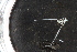  ( - ZMBN_112659)  @11 [ ] CreativeCommons - Attribution Non-Commercial Share-Alike (2044) University of Bergen Natural History Collections