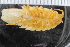  ( - ZMBN_116551)  @11 [ ] CreativeCommons - Attribution Non-Commercial Share-Alike (2017) University of Bergen Natural History Collections