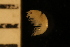  ( - ZMBN_126347)  @11 [ ] CreativeCommons - Attribution Non-Commercial Share-Alike (2023) University of Bergen Natural History Collections