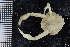  ( - ZMBN_98454)  @11 [ ] CreativeCommons - Attribution Non-Commercial Share-Alike (2015) University of Bergen University of Bergen, Natural History Collection
