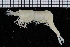  ( - ZMBN_98480)  @14 [ ] CreativeCommons - Attribution Non-Commercial Share-Alike (2015) University of Bergen University of Bergen, Natural History Collection