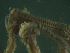  (Phyllodoce madeirensis - PAS00011)  @13 [ ] CreativeCommons - Attribution Non-Commercial Share-Alike  creativecommons Unspecified