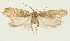  ( - HNHM-29197-D02)  @11 [ ] CreativeCommons - Attribution Non-Commercial Share-Alike (2018) Peter Buchner Tiroler Landesmuseum