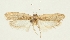  ( - HNHM-29197-D03)  @11 [ ] CreativeCommons - Attribution Non-Commercial Share-Alike (2018) Peter Buchner Tiroler Landesmuseum