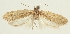  ( - HNHM-29197-D04)  @11 [ ] CreativeCommons - Attribution Non-Commercial Share-Alike (2018) Peter Buchner Tiroler Landesmuseum