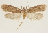 ( - MFN-29197-A10)  @11 [ ] CreativeCommons - Attribution Non-Commercial Share-Alike (2018) Peter Buchner Tiroler Landesmuseum