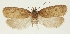  ( - MFN-29197-A12)  @11 [ ] CreativeCommons - Attribution Non-Commercial Share-Alike (2018) Peter Buchner Tiroler Landesmuseum