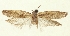  ( - MFN-29197-G07)  @11 [ ] CreativeCommons - Attribution Non-Commercial Share-Alike (2018) Peter Buchner Tiroler Landesmuseum