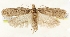  ( - NGS-30134-G07)  @11 [ ] CreativeCommons - Attribution Non-Commercial Share-Alike (2018) Peter Buchner Tiroler Landesmuseum
