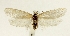  ( - TLMF Lep 23282)  @11 [ ] CreativeCommons - Attribution Non-Commercial Share-Alike (2018) Peter Buchner Tiroler Landesmuseum