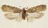  ( - TLMF Lep 23294)  @11 [ ] CreativeCommons - Attribution Non-Commercial Share-Alike (2018) Peter Buchner Tiroler Landesmuseum