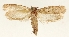  ( - TLMF Lep 23324)  @11 [ ] CreativeCommons - Attribution Non-Commercial Share-Alike (2018) Peter Buchner Tiroler Landesmuseum