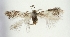  ( - TLMF Lep 23413)  @11 [ ] CreativeCommons - Attribution Non-Commercial Share-Alike (2018) Peter Buchner Tiroler Landesmuseum