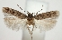  ( - TLMF Lep 23449)  @12 [ ] CreativeCommons - Attribution Non-Commercial Share-Alike (2018) Peter Buchner Tiroler Landesmuseum