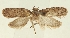 ( - TLMF Lep 23551)  @11 [ ] CreativeCommons - Attribution Non-Commercial Share-Alike (2018) Peter Buchner Tiroler Landesmuseum