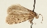  ( - TLMF Lep 23568)  @11 [ ] CreativeCommons - Attribution Non-Commercial Share-Alike (2018) Peter Buchner Tiroler Landesmuseum
