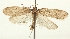  ( - TLMF Lep 25970)  @11 [ ] CreativeCommons - Attribution Non-Commercial Share-Alike (2018) Peter Buchner Tiroler Landesmuseum