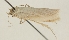  ( - TLMF Lep 26336)  @11 [ ] CreativeCommons - Attribution Non-Commercial Share-Alike (2018) Peter Buchner Tiroler Landesmuseum