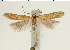  ( - TLMF Lep 19386)  @14 [ ] CreativeCommons - Attribution Non-Commercial Share-Alike (2016) Peter Buchner Tiroler Landesmuseum