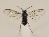  ( - ZMUO.030819)  @13 [ ] CreativeCommons - Attribution Non-Commercial (2018) Marko Mutanen University of Oulu