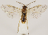 ( - ZMUO.030839)  @13 [ ] CreativeCommons - Attribution Non-Commercial (2018) Marko Mutanen University of Oulu