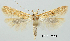  ( - TLMF Lep 28759)  @11 [ ] CreativeCommons - Attribution Non-Commercial Share-Alike (2020) Friedmar Graf Tiroler Landesmuseum