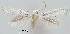  ( - TLMF Lep 28763)  @11 [ ] CreativeCommons - Attribution Non-Commercial Share-Alike (2020) Friedmar Graf Tiroler Landesmuseum