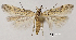  ( - TLMF Lep 29030)  @11 [ ] CreativeCommons - Attribution Non-Commercial Share-Alike (2022) Friedmar Graf Tiroler Landesmuseum