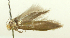  ( - TLMF_Lep_32505)  @11 [ ] CreativeCommons - Attribution Non-Commercial Share-Alike (2022) Peter Buchner Tiroler Landesmuseum